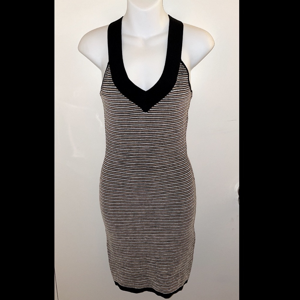Arden B. Striped Glitter Dress